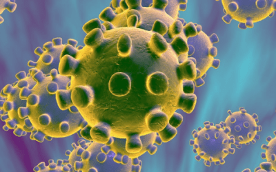 Qué dice la OMS sobre el Coronavirus